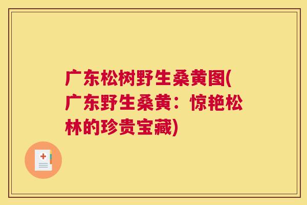 广东松树野生桑黄图(广东野生桑黄:惊艳松林的珍贵宝藏) 广东松树野生桑黄图(广东野生桑黄:惊艳松林的珍贵宝藏)