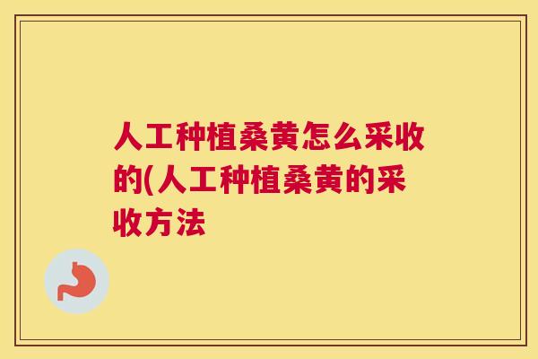 人工种植桑黄怎么采收的(人工种植桑黄的采收方法 人工种植桑黄怎么采收的(人工种植桑黄的采收方法