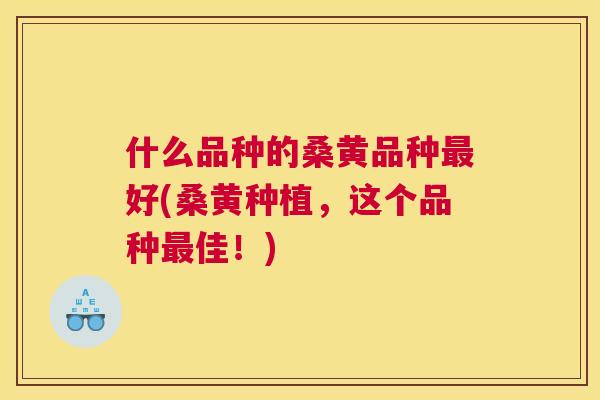 什么品种的桑黄品种好(桑黄种植,这个品种佳!) 什么品种的桑黄品种好(桑黄种植,这个品种佳!)