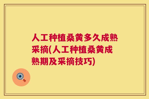 人工种植桑黄多久成熟采摘(人工种植桑黄成熟期及采摘技巧) 人工种植桑黄多久成熟采摘(人工种植桑黄成熟期及采摘技巧)