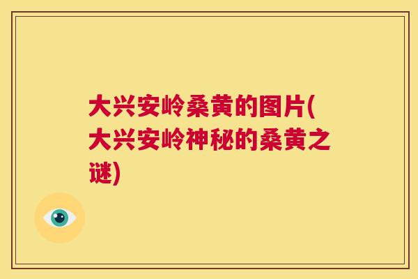 大兴安岭桑黄的图片(大兴安岭神秘的桑黄之谜) 大兴安岭桑黄的图片(大兴安岭神秘的桑黄之谜)