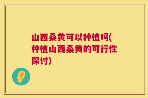 山西桑黄可以种植吗(种植山西桑黄的可行性探讨) 山西桑黄可以种植吗(种植山西桑黄的可行性探讨)