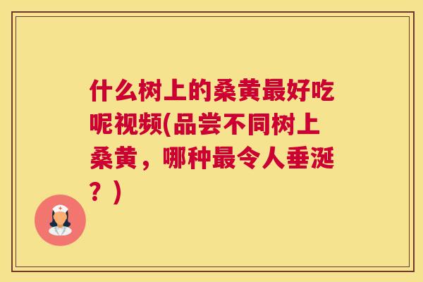 什么树上的桑黄好吃呢视频(品尝不同树上桑黄，哪种令人垂涎？)