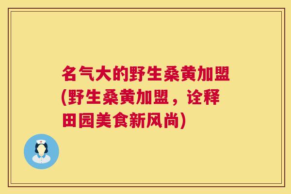 名气大的野生桑黄加盟(野生桑黄加盟,诠释田园美食新风尚) 名气大的野生桑黄加盟(野生桑黄加盟,诠释田园美食新风尚)