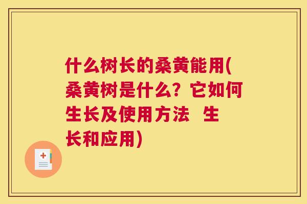 什么树长的桑黄能用(桑黄树是什么?它如何生长及使用方法 生长和应用) 什么树长的桑黄能用(桑黄树是什么?它如何生长及使用方法 生长和应用)