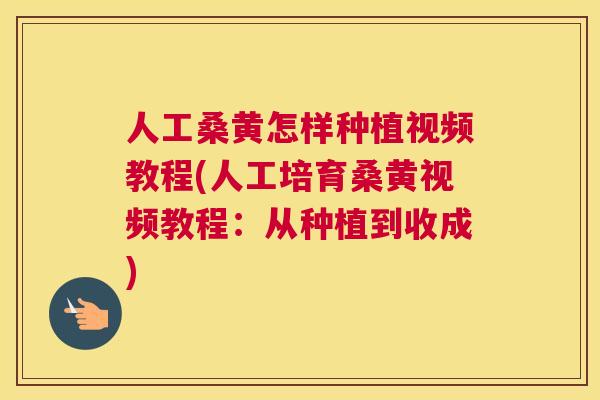 人工桑黄怎样种植视频教程(人工培育桑黄视频教程:从种植到收成) 人工桑黄怎样种植视频教程(人工培育桑黄视频教程:从种植到收成)