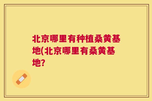 北京哪里有种植桑黄基地(北京哪里有桑黄基地? 北京哪里有种植桑黄基地(北京哪里有桑黄基地?
