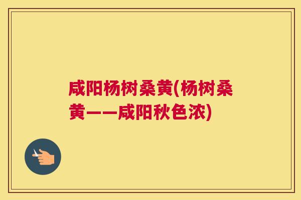 咸阳杨树桑黄(杨树桑黄——咸阳秋色浓) 咸阳杨树桑黄(杨树桑黄——咸阳秋色浓)