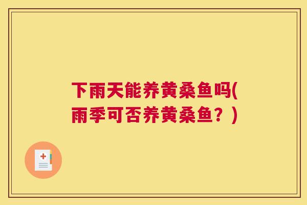下雨天能养黄桑鱼吗(雨季可否养黄桑鱼?) 下雨天能养黄桑鱼吗(雨季可否养黄桑鱼?)