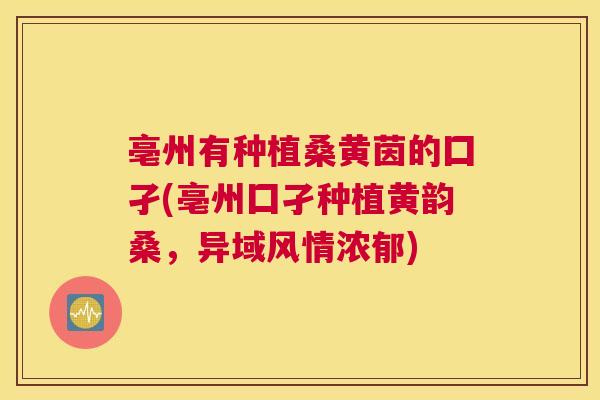 亳州有种植桑黄茵的囗孑(亳州囗孑种植黄韵桑,异域风情浓郁) 亳州有种植桑黄茵的囗孑(亳州囗孑种植黄韵桑,异域风情浓郁)