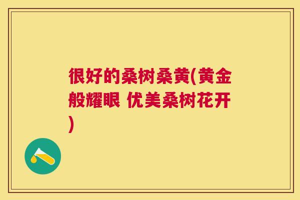 很好的桑树桑黄(黄金般耀眼 优美桑树花开) 很好的桑树桑黄(黄金般耀眼 优美桑树花开)