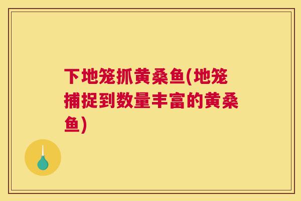 下地笼抓黄桑鱼(地笼捕捉到数量丰富的黄桑鱼) 下地笼抓黄桑鱼(地笼捕捉到数量丰富的黄桑鱼)