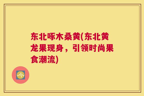 东北啄木桑黄(东北黄龙果现身,引领时尚果食潮流) 东北啄木桑黄(东北黄龙果现身,引领时尚果食潮流)