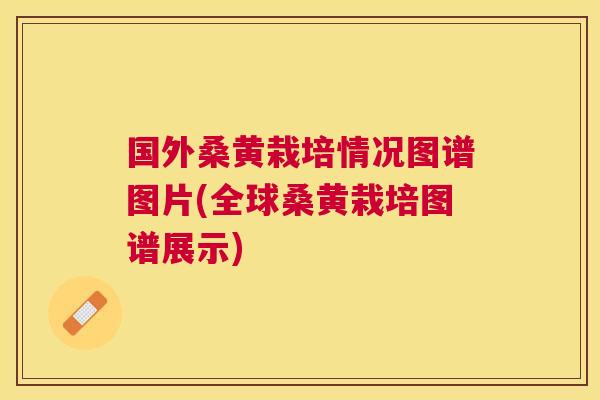 国外桑黄栽培情况图谱图片(全球桑黄栽培图谱展示) 国外桑黄栽培情况图谱图片(全球桑黄栽培图谱展示)
