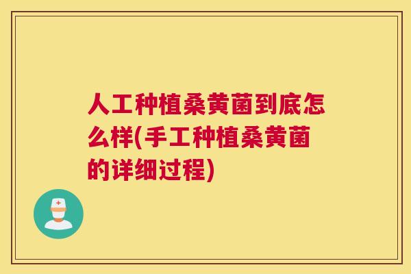 人工种植桑黄菌到底怎么样(手工种植桑黄菌的详细过程) 人工种植桑黄菌到底怎么样(手工种植桑黄菌的详细过程)