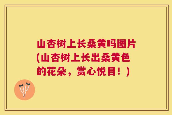 山杏树上长桑黄吗图片(山杏树上长出桑黄色的花朵,赏心悦目!) 山杏树上长桑黄吗图片(山杏树上长出桑黄色的花朵,赏心悦目!)