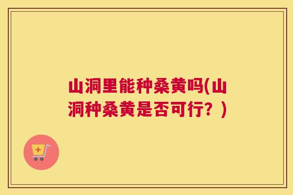 山洞里能种桑黄吗(山洞种桑黄是否可行?) 山洞里能种桑黄吗(山洞种桑黄是否可行?)