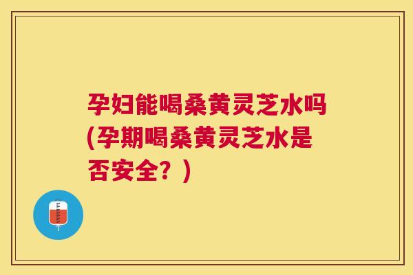 孕妇能喝桑黄灵芝水吗(孕期喝桑黄灵芝水是否安全?) 孕妇能喝桑黄灵芝水吗(孕期喝桑黄灵芝水是否安全?)