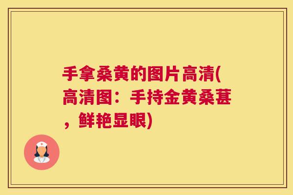 手拿桑黄的图片高清(高清图：手持金黄桑葚，鲜艳显眼)