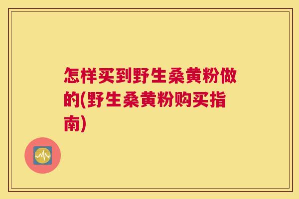 怎样买到野生桑黄粉做的(野生桑黄粉购买指南) 怎样买到野生桑黄粉做的(野生桑黄粉购买指南)