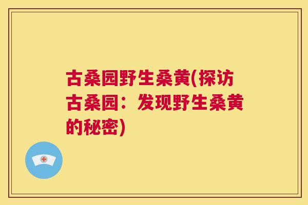 古桑园野生桑黄(探访古桑园:发现野生桑黄的秘密) 古桑园野生桑黄(探访古桑园:发现野生桑黄的秘密)
