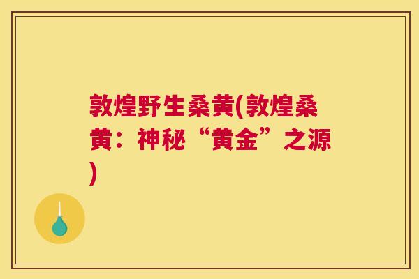 敦煌野生桑黄(敦煌桑黄:神秘“黄金”之源) 敦煌野生桑黄(敦煌桑黄:神秘“黄金”之源)