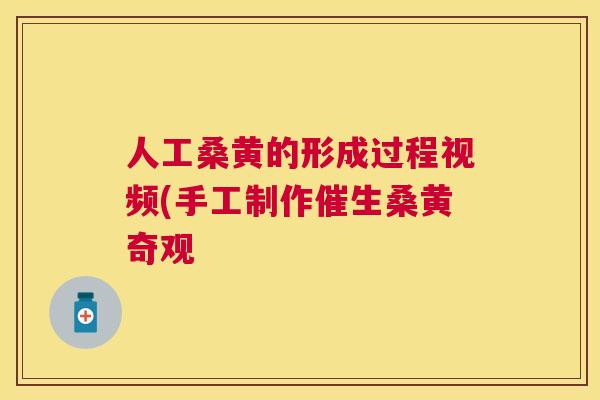 人工桑黄的形成过程视频(手工制作催生桑黄奇观 人工桑黄的形成过程视频(手工制作催生桑黄奇观