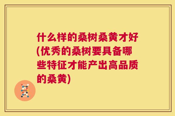 什么样的桑树桑黄才好(优秀的桑树要具备哪些特征才能产出高品质的桑黄) 什么样的桑树桑黄才好(优秀的桑树要具备哪些特征才能产出高品质的桑黄)
