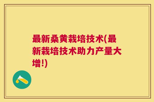 新桑黄栽培技术(新栽培技术助力产量大增!) 新桑黄栽培技术(新栽培技术助力产量大增!)