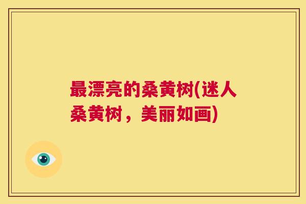 漂亮的桑黄树(迷人桑黄树,美丽如画) 漂亮的桑黄树(迷人桑黄树,美丽如画)