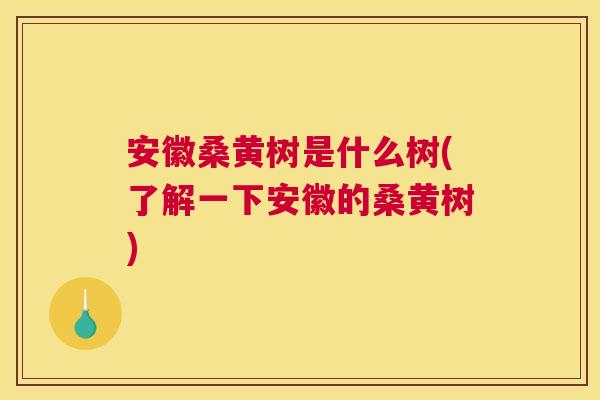 安徽桑黄树是什么树(了解一下安徽的桑黄树) 安徽桑黄树是什么树(了解一下安徽的桑黄树)