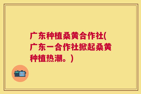 广东种植桑黄合作社(广东一合作社掀起桑黄种植热潮。) 广东种植桑黄合作社(广东一合作社掀起桑黄种植热潮。)
