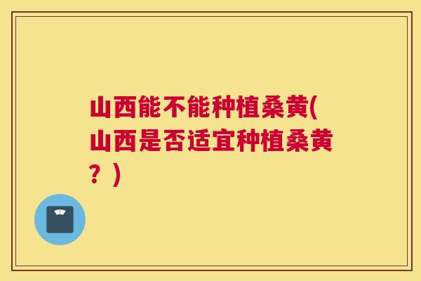 山西能不能种植桑黄(山西是否适宜种植桑黄?) 山西能不能种植桑黄(山西是否适宜种植桑黄?)