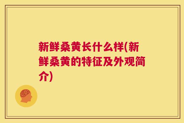 新鲜桑黄长什么样(新鲜桑黄的特征及外观简介)