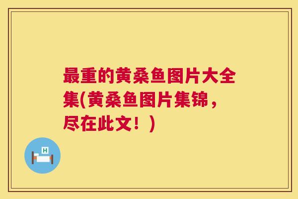 重的黄桑鱼图片大全集(黄桑鱼图片集锦,尽在此文!) 重的黄桑鱼图片大全集(黄桑鱼图片集锦,尽在此文!)