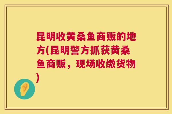 昆明收黄桑鱼商贩的地方(昆明警方抓获黄桑鱼商贩,现场收缴货物) 昆明收黄桑鱼商贩的地方(昆明警方抓获黄桑鱼商贩,现场收缴货物)