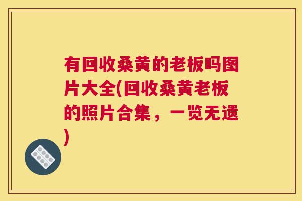 有回收桑黄的老板吗图片大全(回收桑黄老板的照片合集，一览无遗)