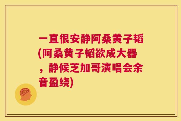 一直很安静阿桑黄子韬(阿桑黄子韬欲成大器,静候芝加哥演唱会余音盈绕) 一直很安静阿桑黄子韬(阿桑黄子韬欲成大器,静候芝加哥演唱会余音盈绕)