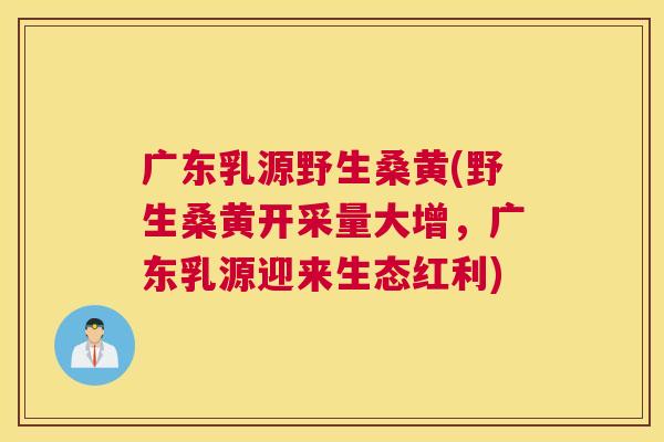 广东乳源野生桑黄(野生桑黄开采量大增,广东乳源迎来生态红利) 广东乳源野生桑黄(野生桑黄开采量大增,广东乳源迎来生态红利)