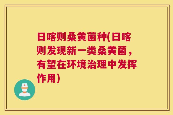 日喀则桑黄菌种(日喀则发现新一类桑黄菌,有望在环境理中发挥作用) 日喀则桑黄菌种(日喀则发现新一类桑黄菌,有望在环境理中发挥作用)