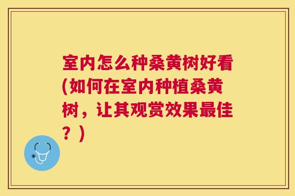 室内怎么种桑黄树好看(如何在室内种植桑黄树,让其观赏效果佳?) 室内怎么种桑黄树好看(如何在室内种植桑黄树,让其观赏效果佳?)