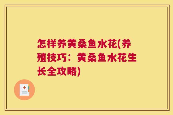 怎样养黄桑鱼水花(养殖技巧:黄桑鱼水花生长全攻略) 怎样养黄桑鱼水花(养殖技巧:黄桑鱼水花生长全攻略)