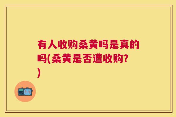 有人收购桑黄吗是真的吗(桑黄是否遭收购?) 有人收购桑黄吗是真的吗(桑黄是否遭收购?)