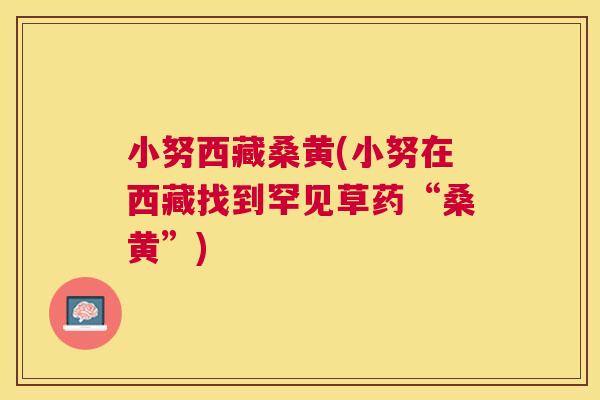 小努西藏桑黄(小努在西藏找到罕见草药“桑黄”) 小努西藏桑黄(小努在西藏找到罕见草药“桑黄”)
