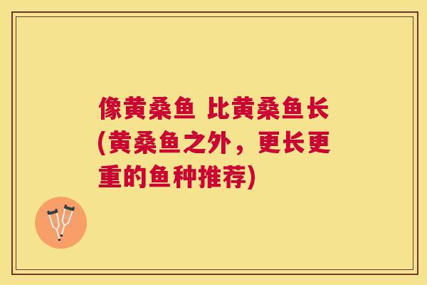 像黄桑鱼 比黄桑鱼长(黄桑鱼之外,更长更重的鱼种推荐) 像黄桑鱼 比黄桑鱼长(黄桑鱼之外,更长更重的鱼种推荐)