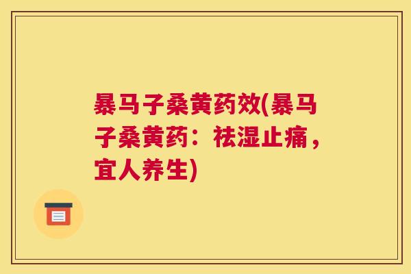 暴马子桑黄(暴马子桑黄药:祛湿,宜人养生) 暴马子桑黄(暴马子桑黄药:祛湿,宜人养生)