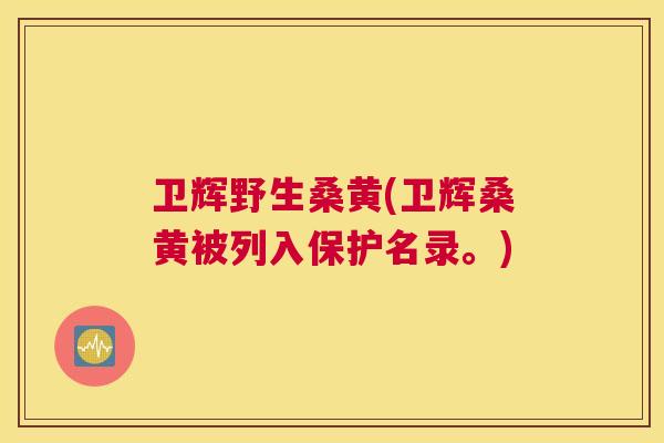 卫辉野生桑黄(卫辉桑黄被列入保护名录。)
