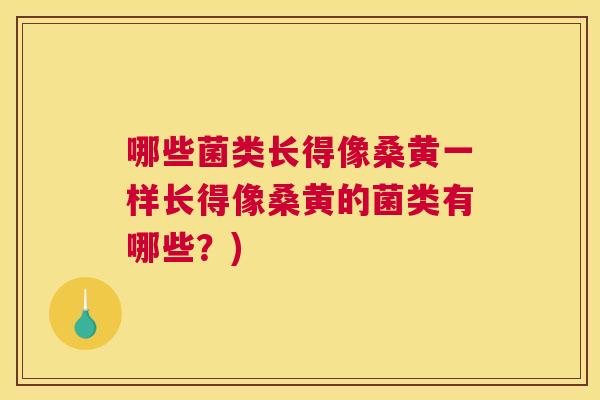 哪些菌类长得像桑黄一样长得像桑黄的菌类有哪些?) 哪些菌类长得像桑黄一样长得像桑黄的菌类有哪些?)