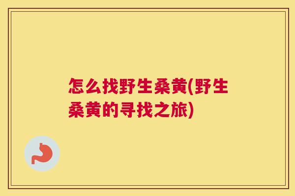 怎么找野生桑黄(野生桑黄的寻找之旅) 怎么找野生桑黄(野生桑黄的寻找之旅)