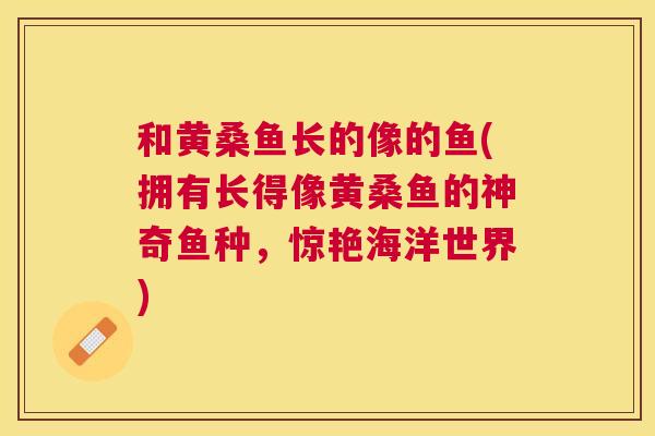 和黄桑鱼长的像的鱼(拥有长得像黄桑鱼的神奇鱼种,惊艳海洋世界) 和黄桑鱼长的像的鱼(拥有长得像黄桑鱼的神奇鱼种,惊艳海洋世界)